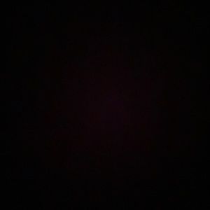 Meet your Posher, Max